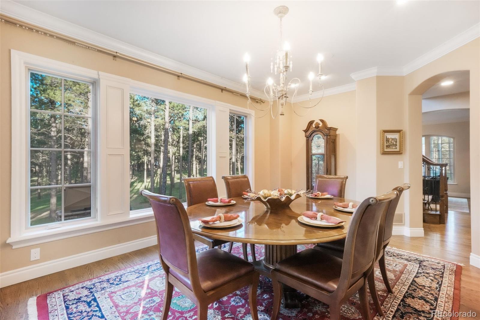 16092 Waving Branch Way