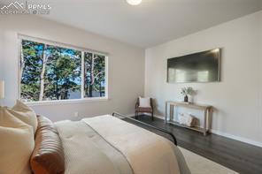 16267 Thunder Cat Way