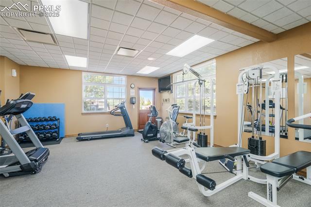 4163 Gray Fox Heights