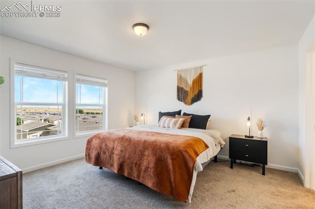 4163 Gray Fox Heights