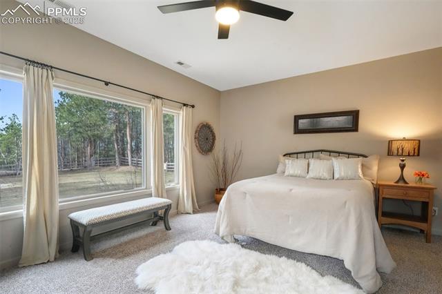 3170 Arena Road