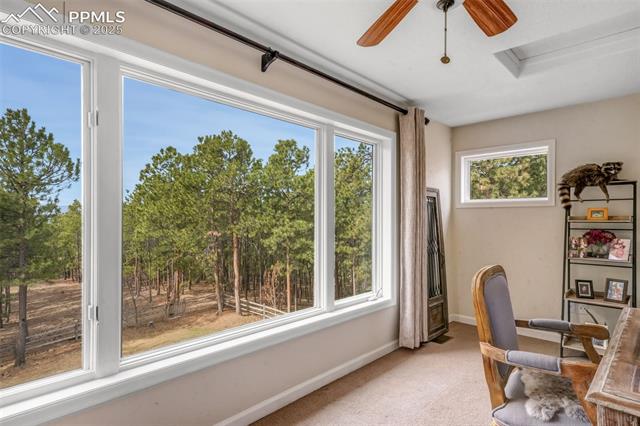 3170 Arena Road