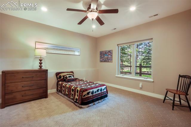 3781 Mountain Dance Drive