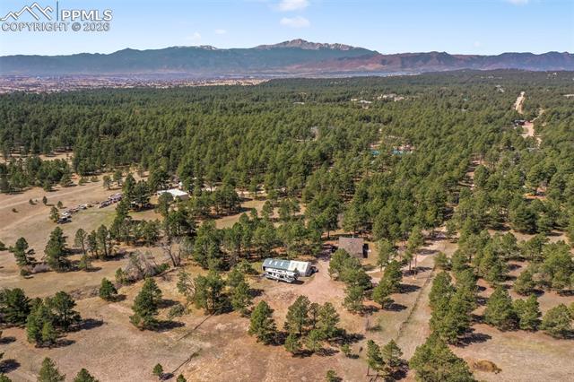 11165 Pine Meadows Road