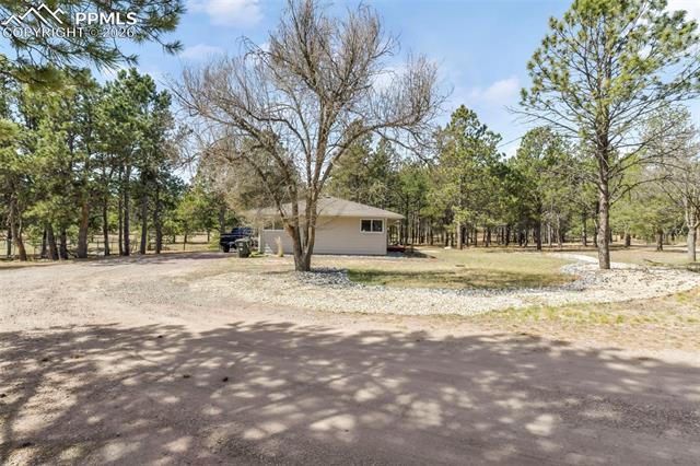 11165 Pine Meadows Road