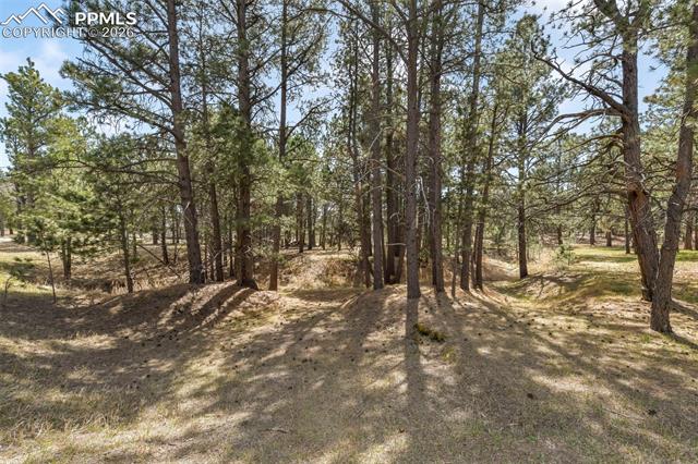 11165 Pine Meadows Road