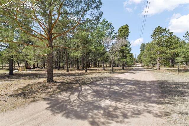 11165 Pine Meadows Road