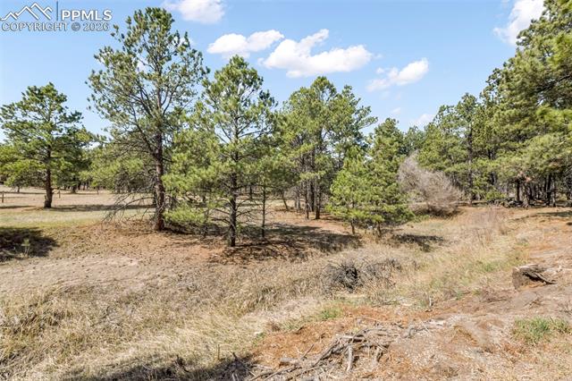 11165 Pine Meadows Road