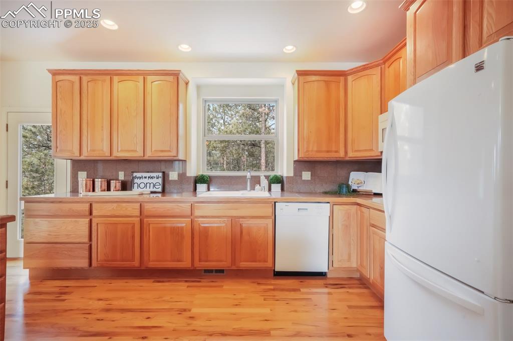 1132 Longspur Lane