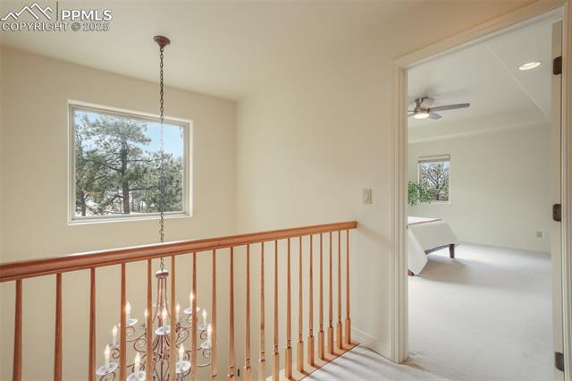 1132 Longspur Lane