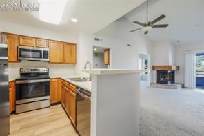 3664 Iguana Drive