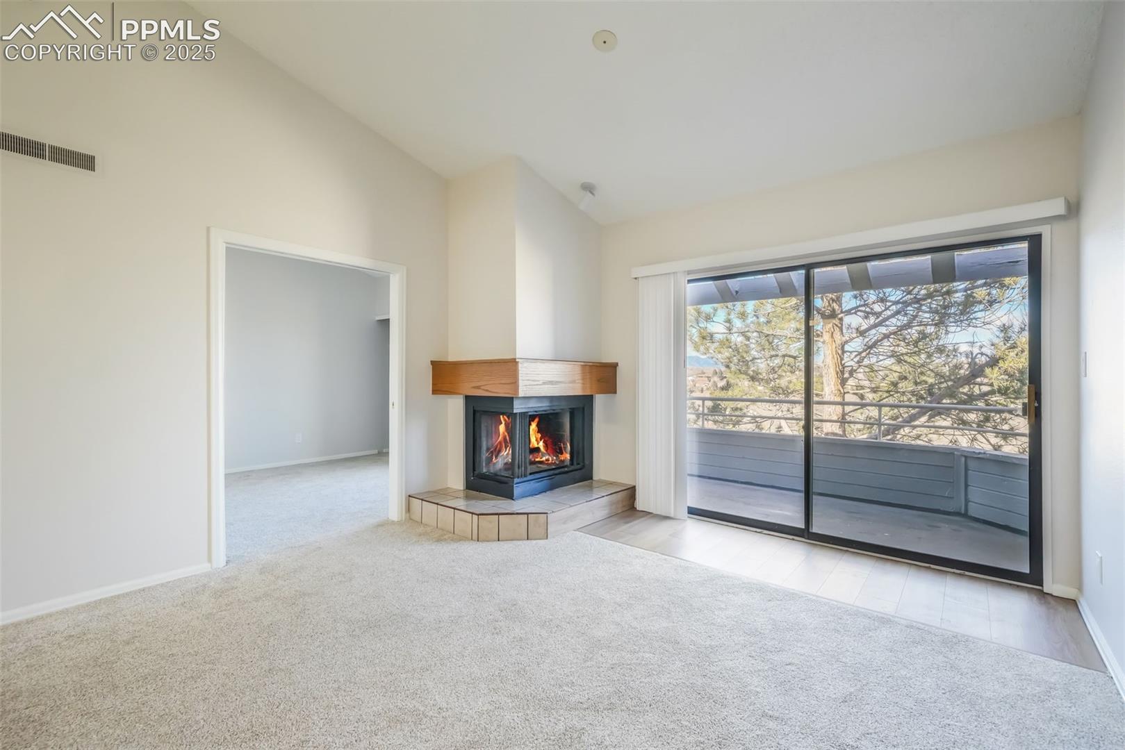 3664 Iguana Drive