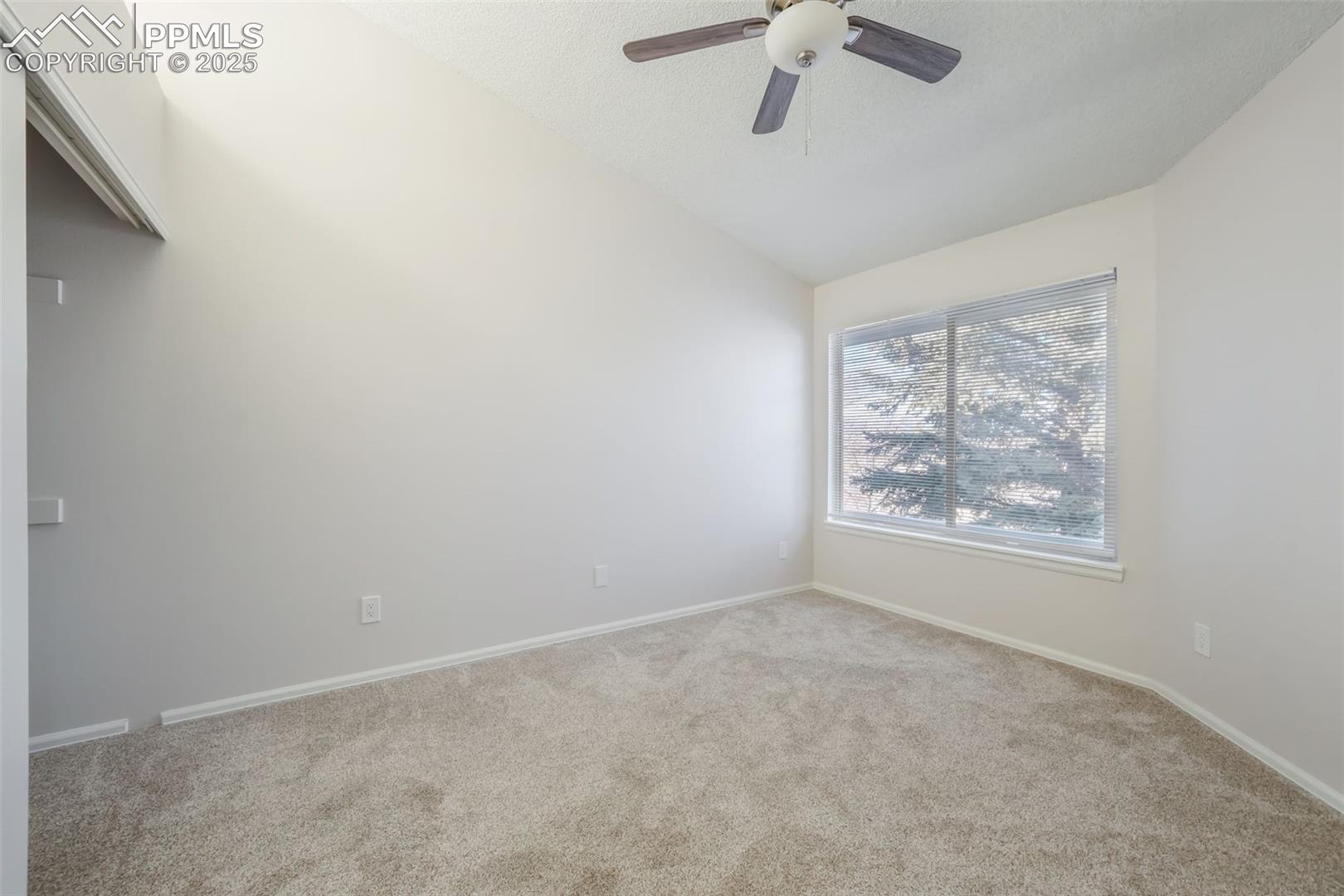 3664 Iguana Drive