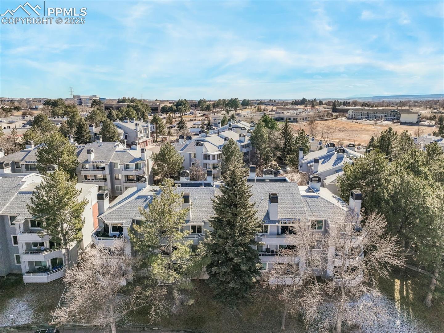 3664 Iguana Drive