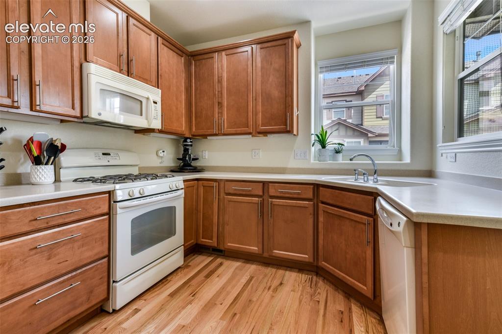10816 Creede Creek Point