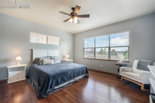 4197 Purple Plum Way