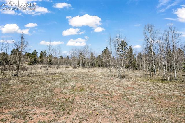 631 County Road 61