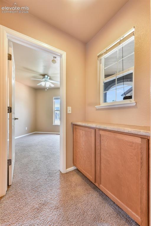 4377 Crow Creek Drive