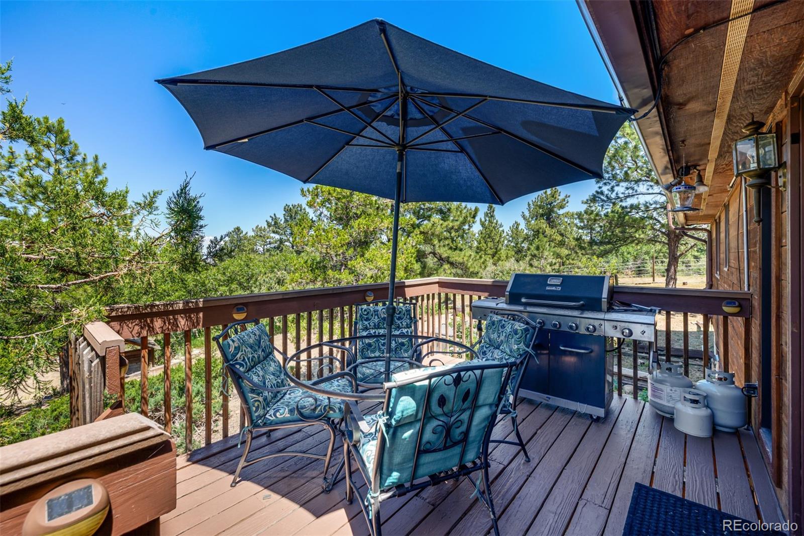 8223 Burning Tree Drive