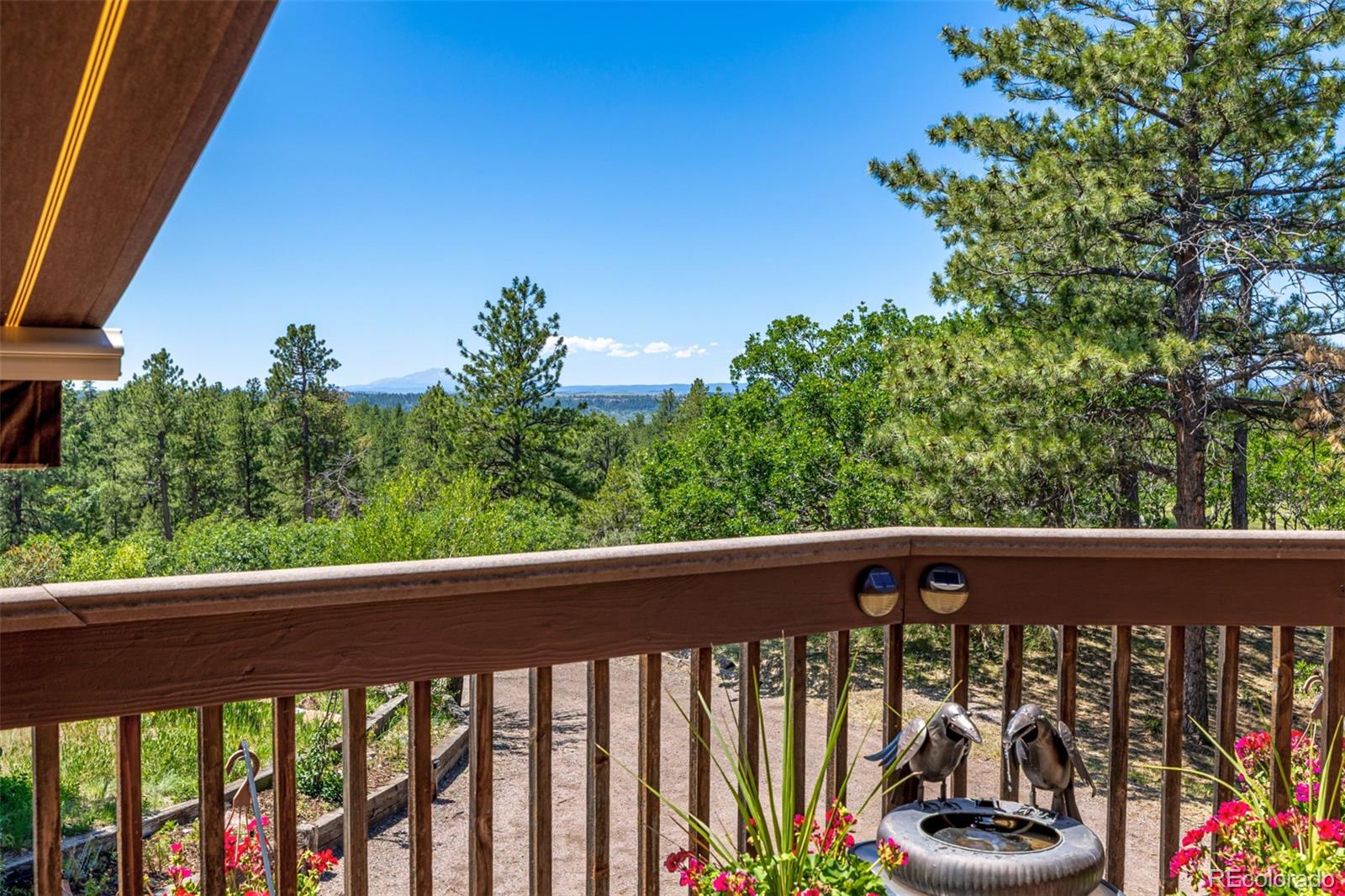 8223 Burning Tree Drive