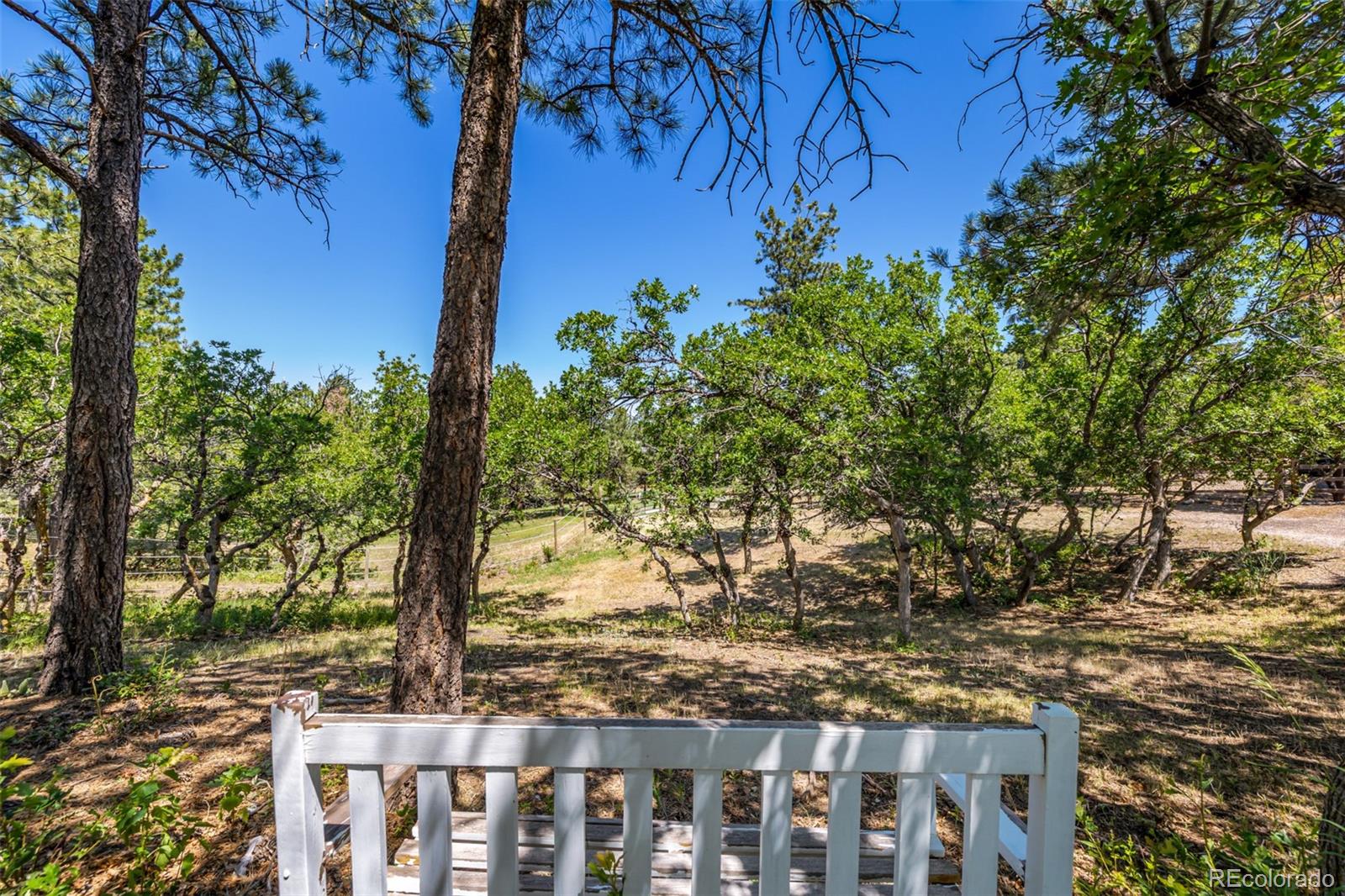 8223 Burning Tree Drive