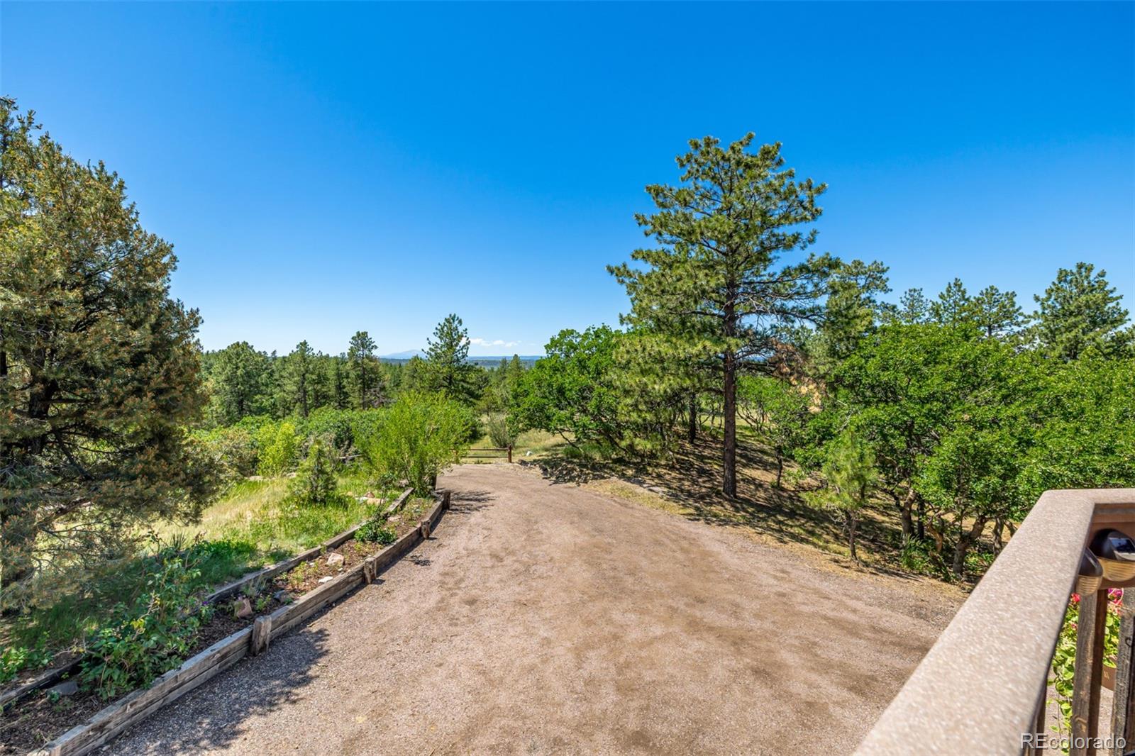 8223 Burning Tree Drive