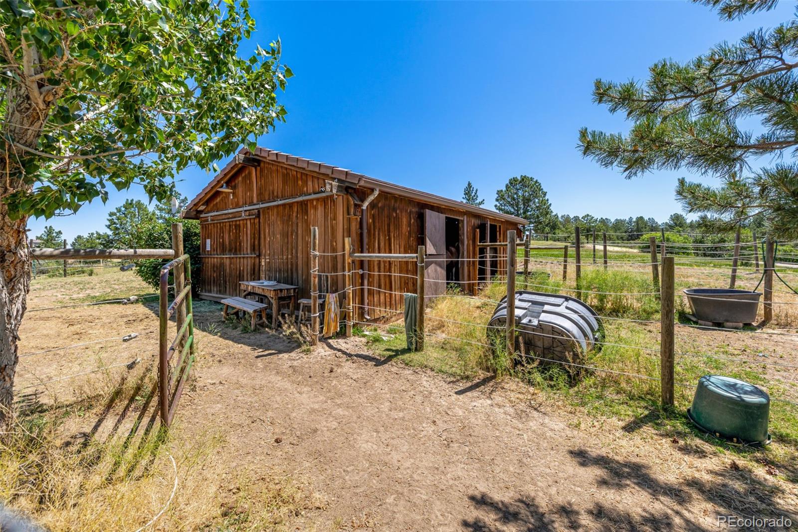 8223 Burning Tree Drive