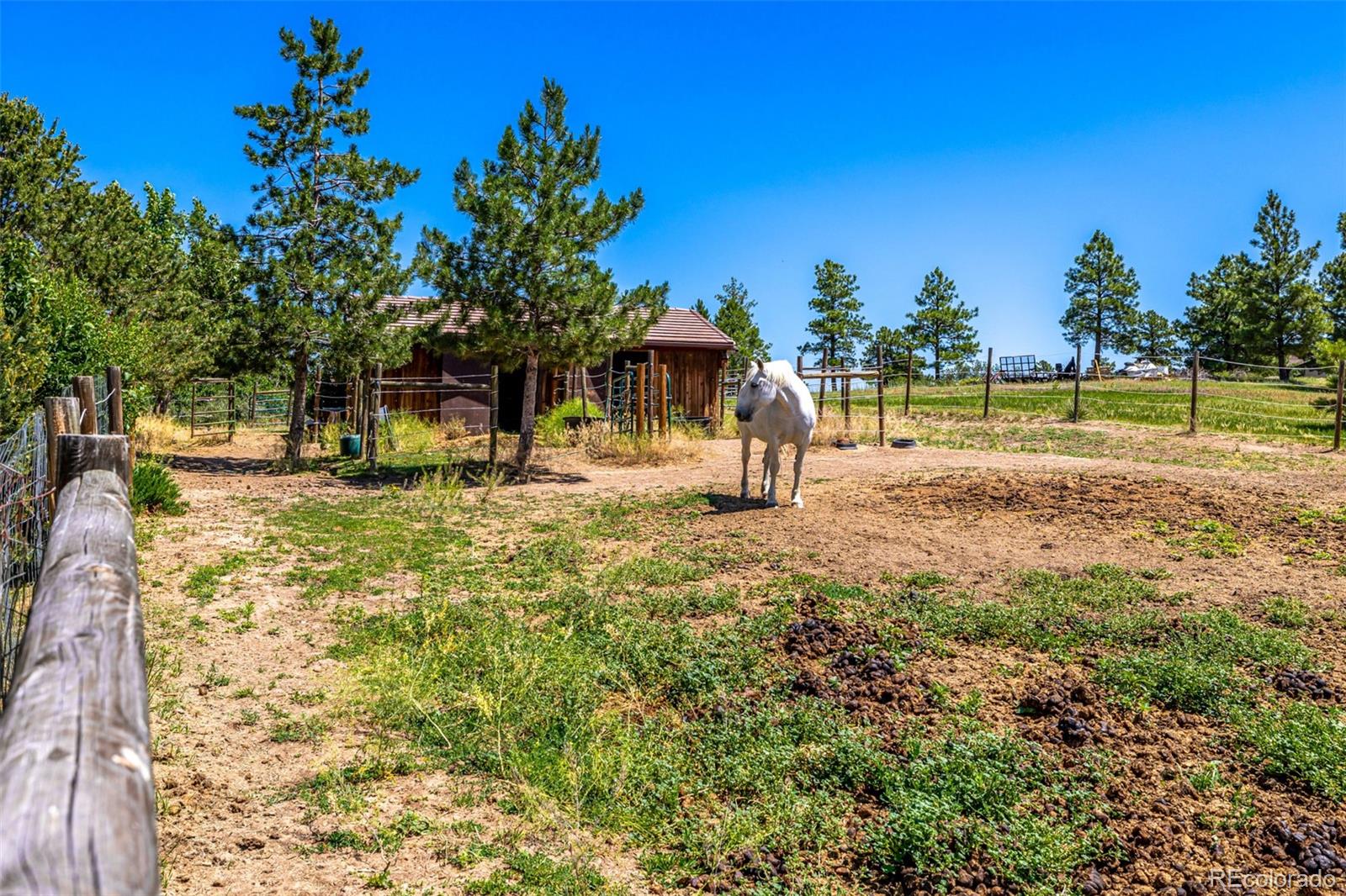 8223 Burning Tree Drive