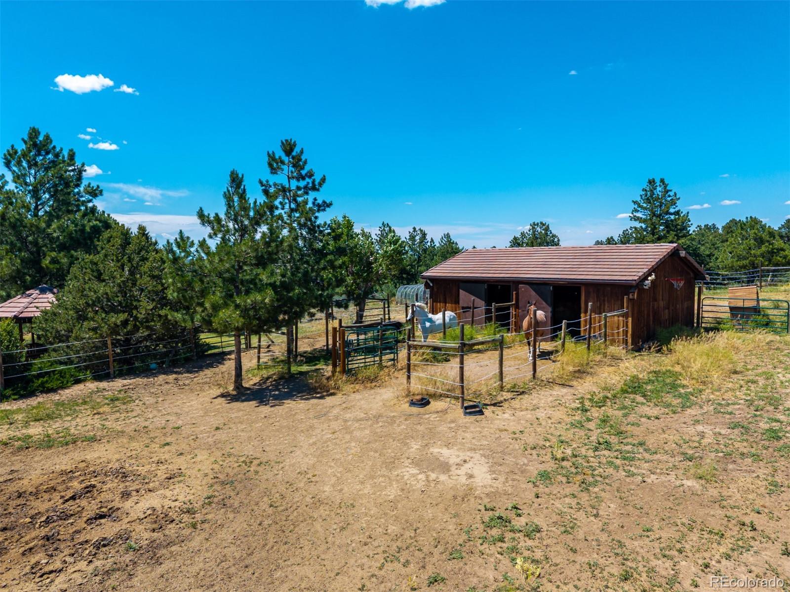 8223 Burning Tree Drive