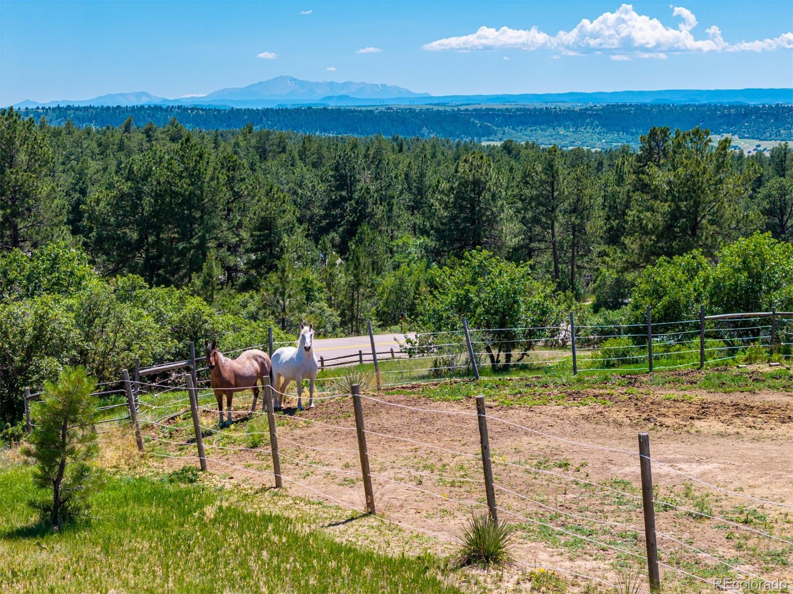 8223 Burning Tree Drive