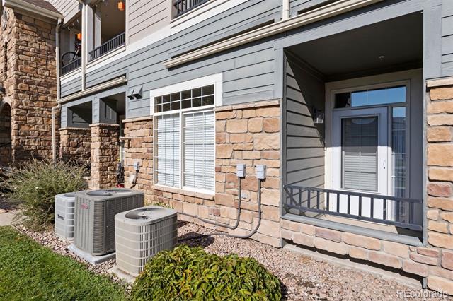 488 Black Feather Loop Unit: 202