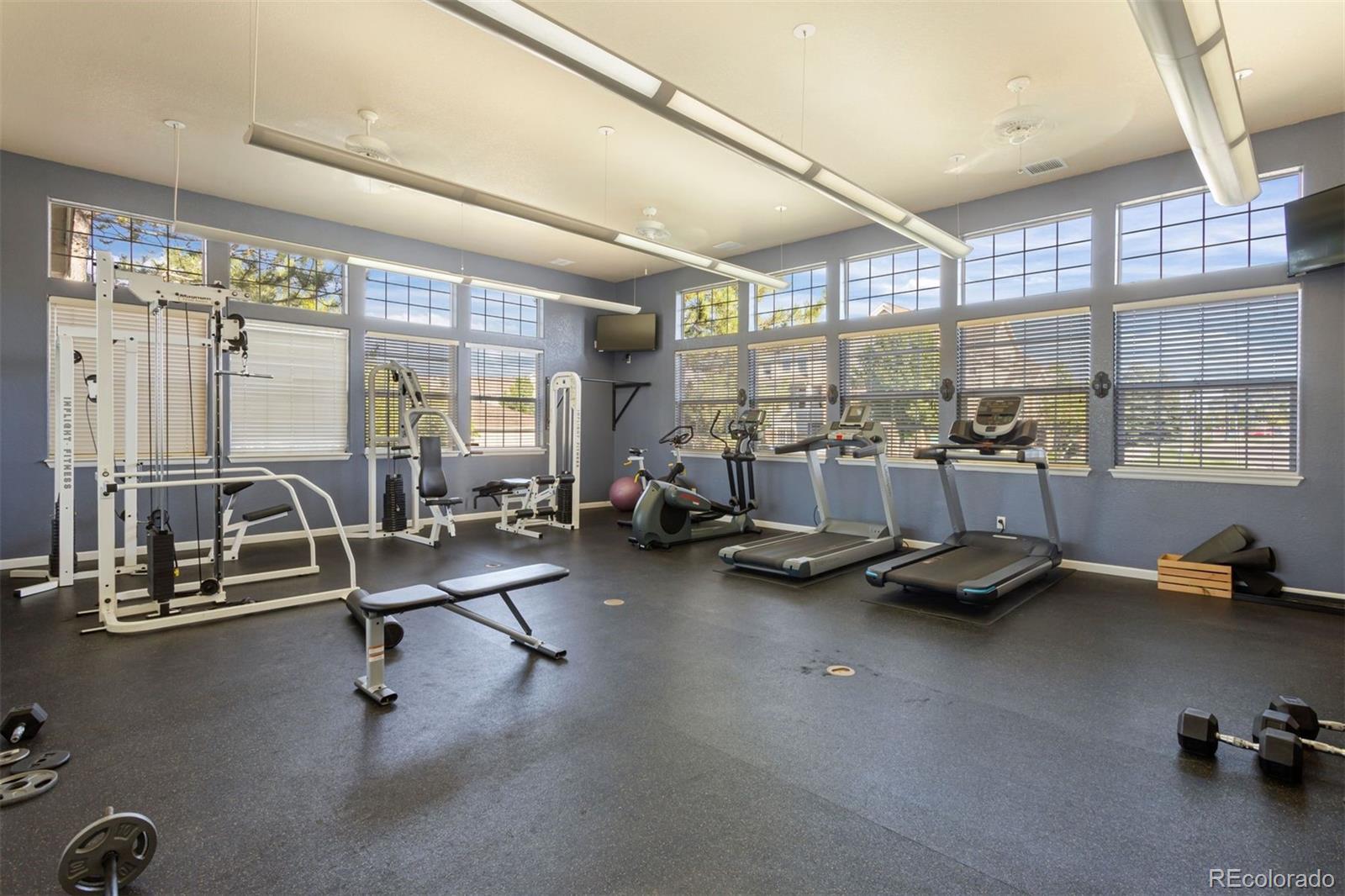 488 Black Feather Loop Unit: 202