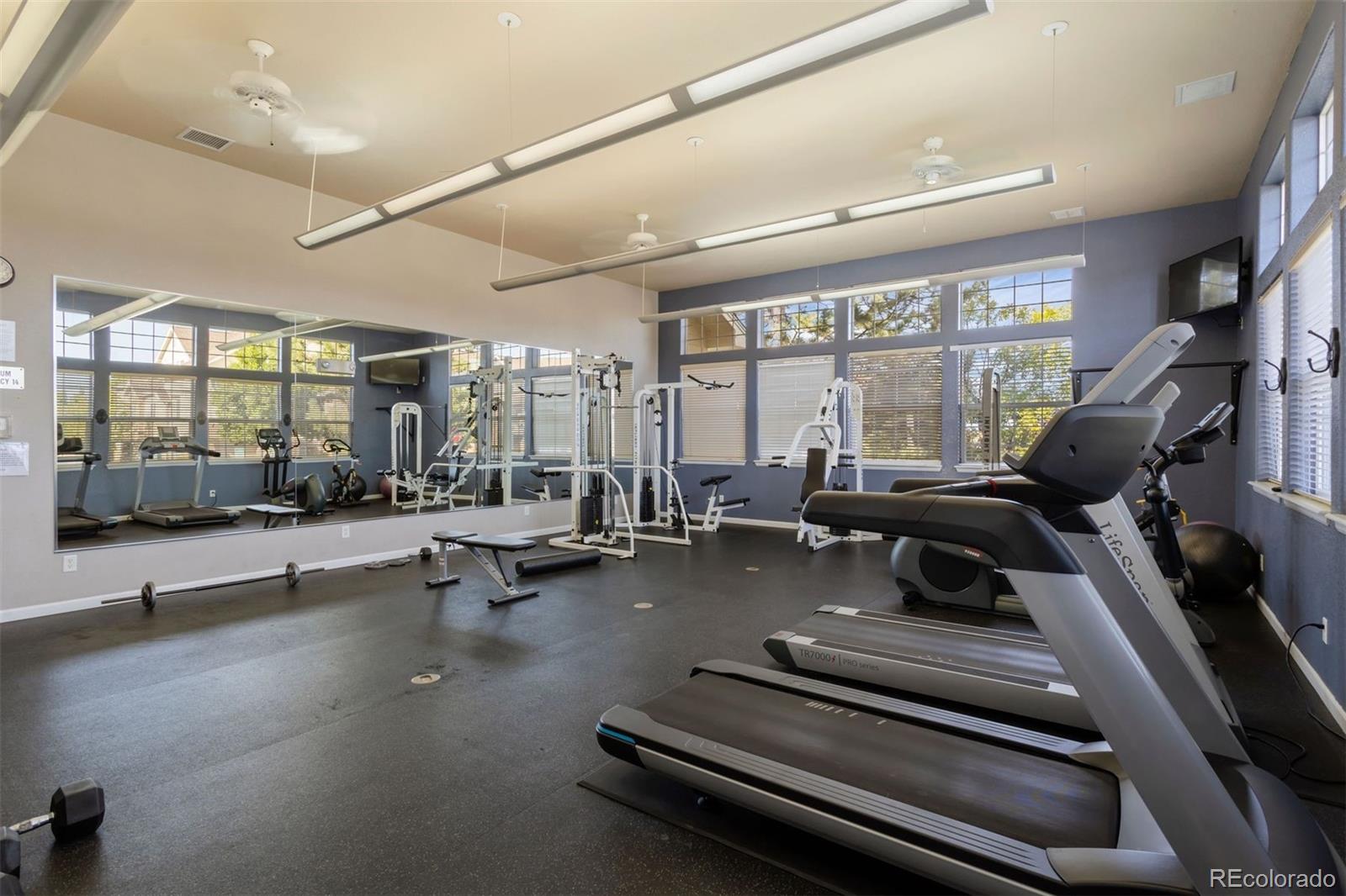 488 Black Feather Loop Unit: 202