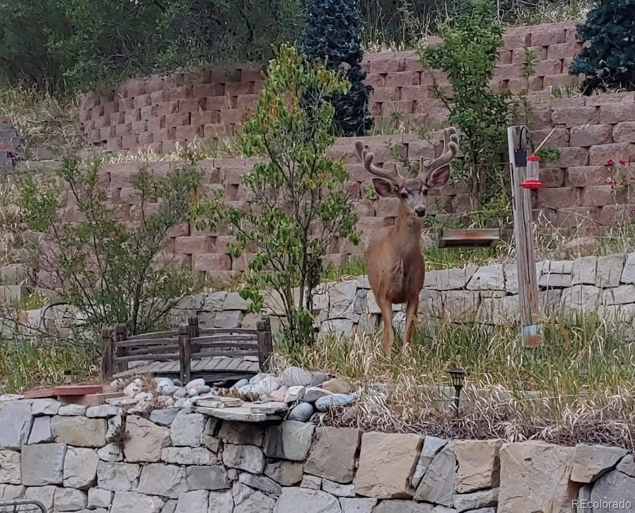 1390 Whitetail Drive