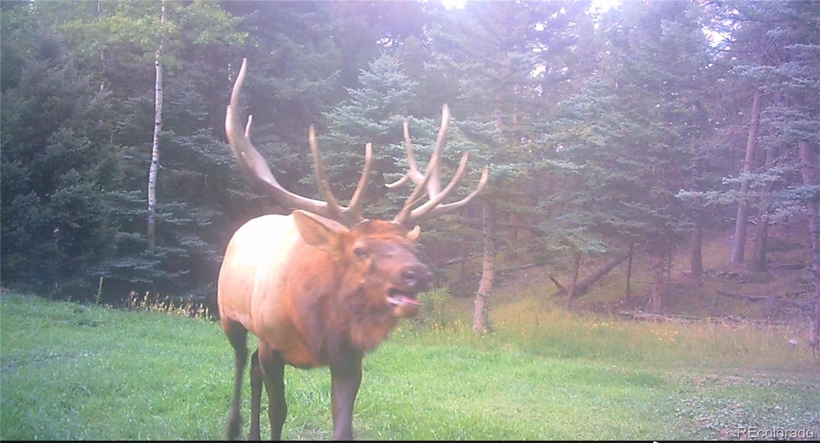 25654 S Black Hawk Trail