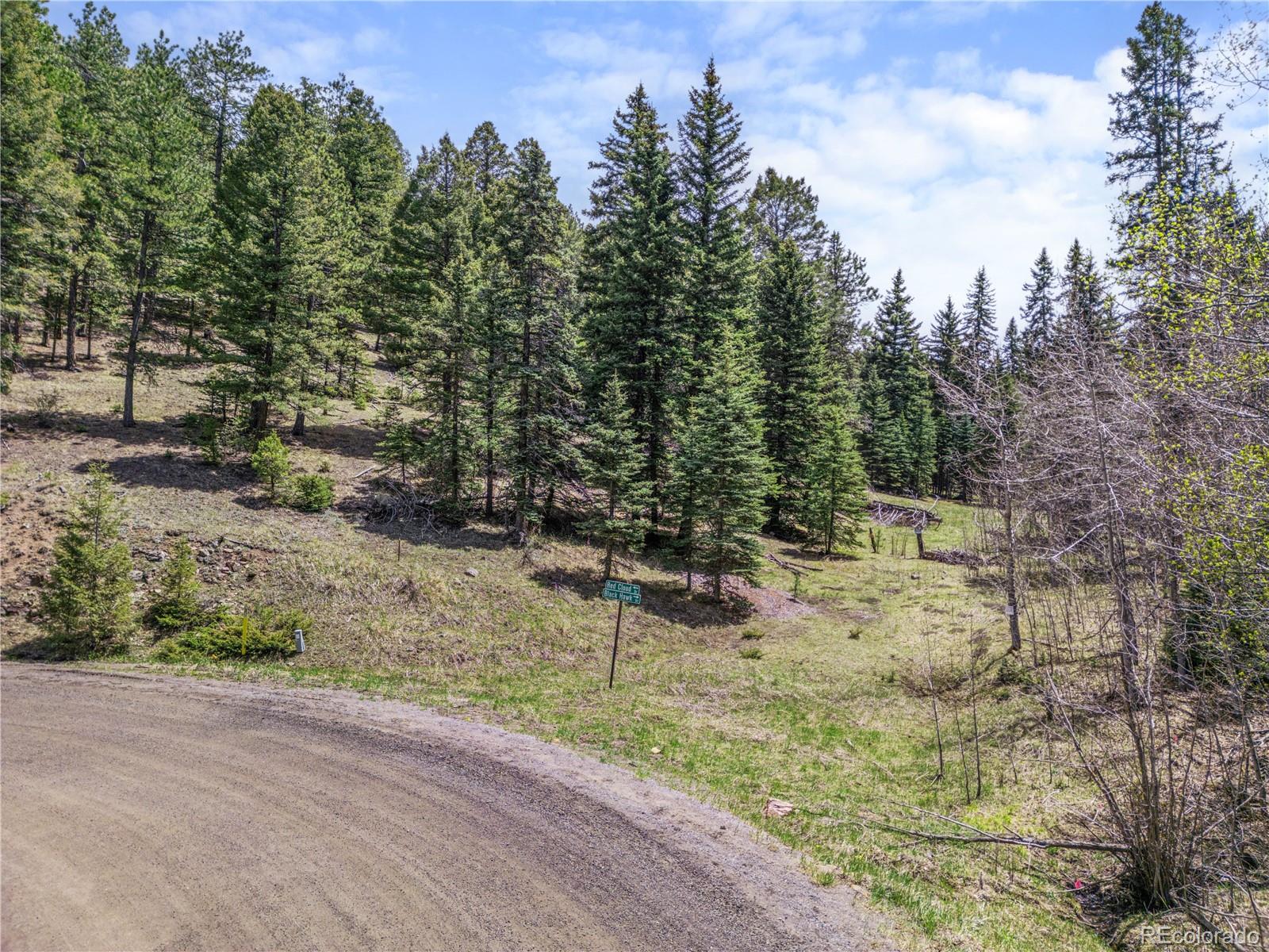 25654 S Black Hawk Trail