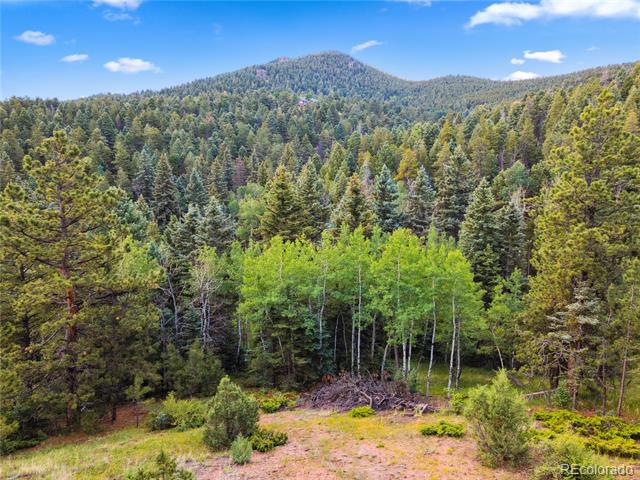 25654 S Black Hawk Trail