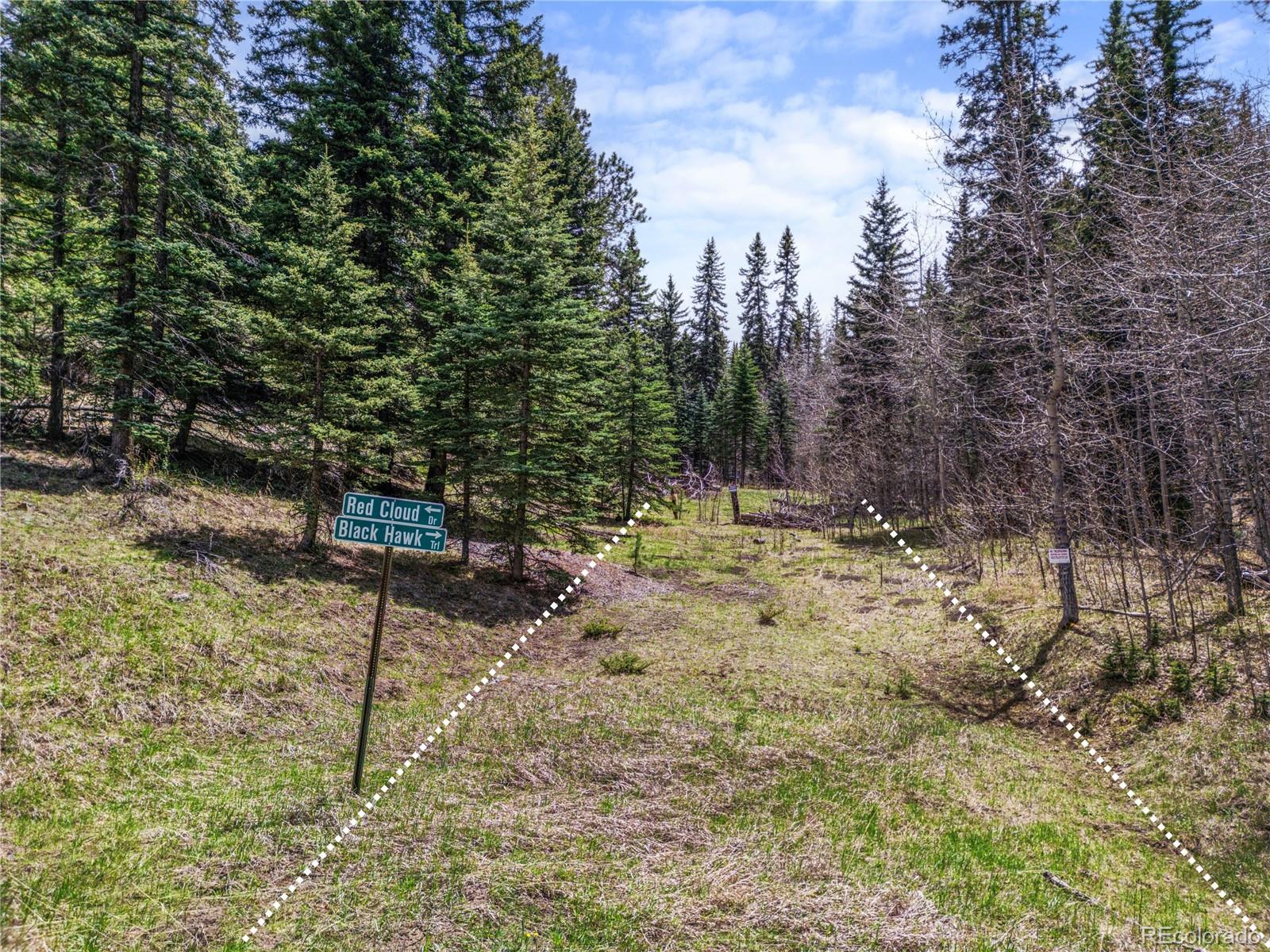 25654 S Black Hawk Trail