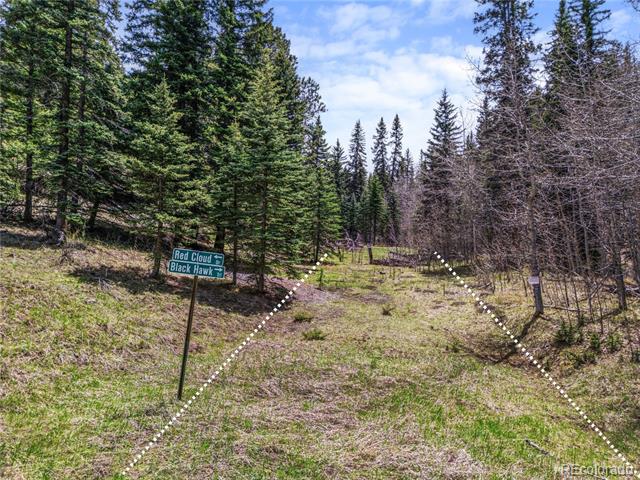 25654 S Black Hawk Trail