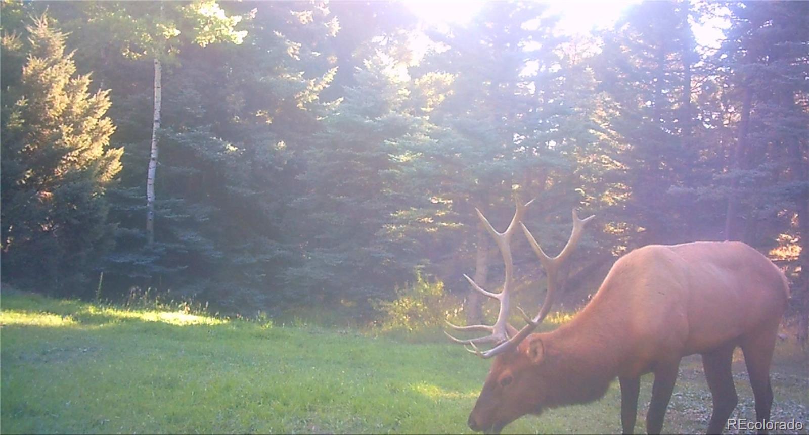 25654 S Black Hawk Trail