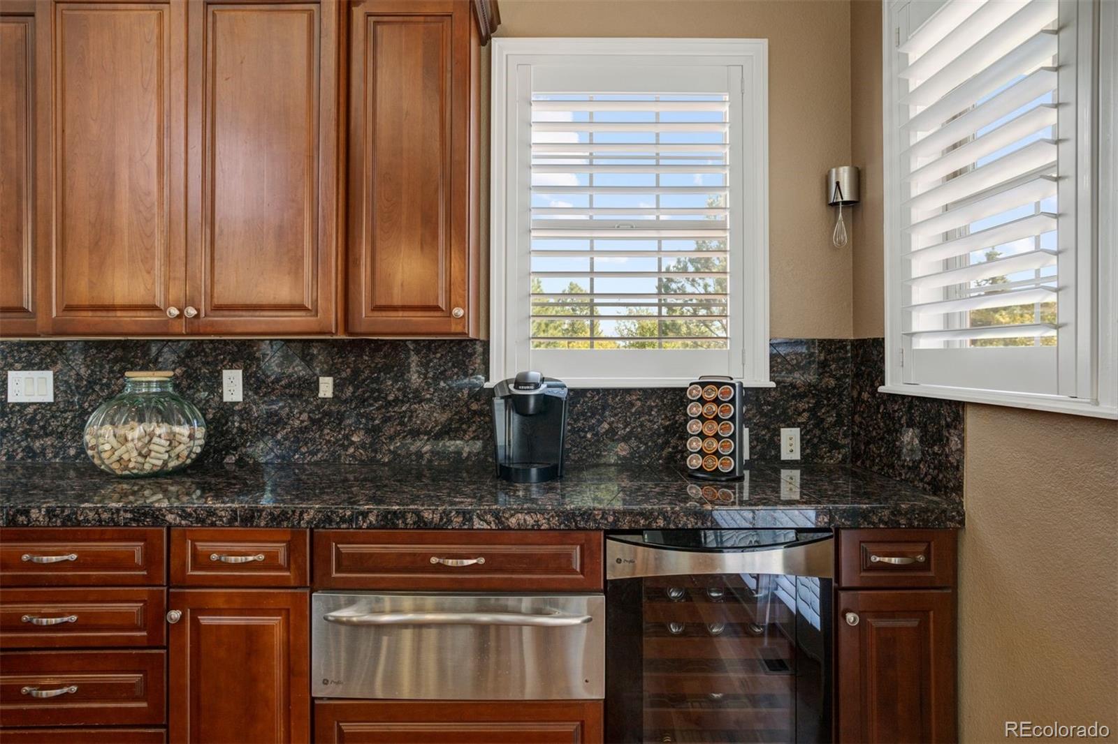 6246 Shavano Peak Way