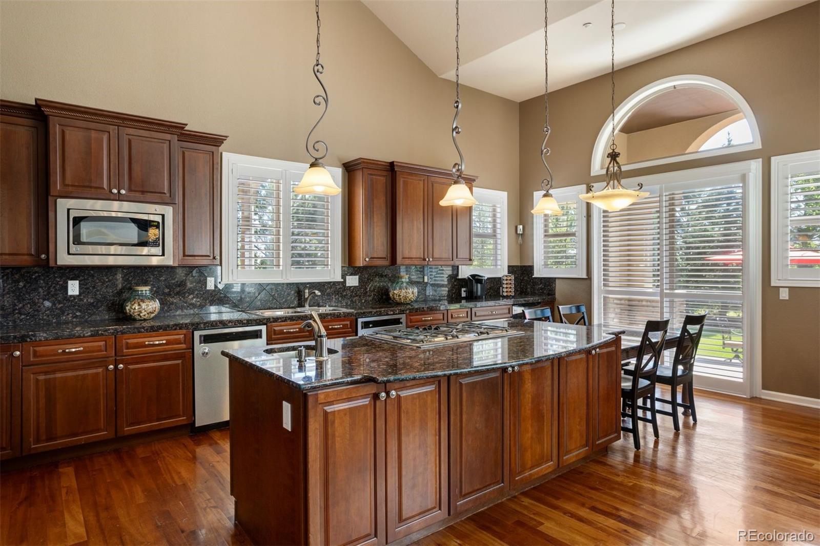 6246 Shavano Peak Way