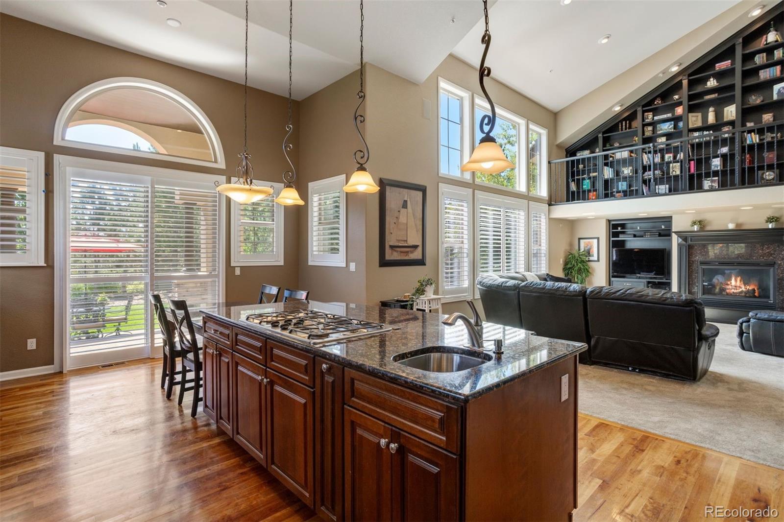 6246 Shavano Peak Way