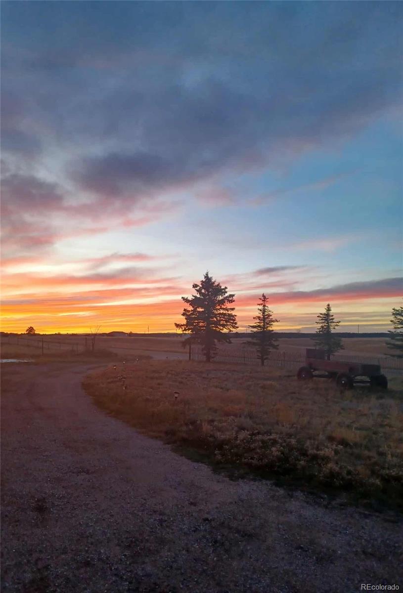 12835 Forest Green Drive