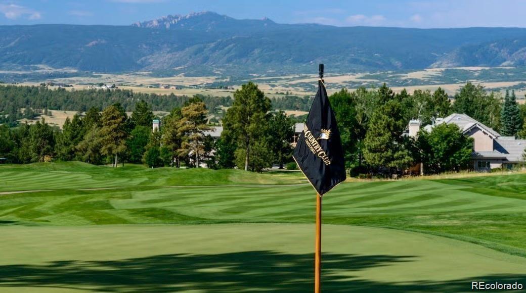 2517 Tournament Drive