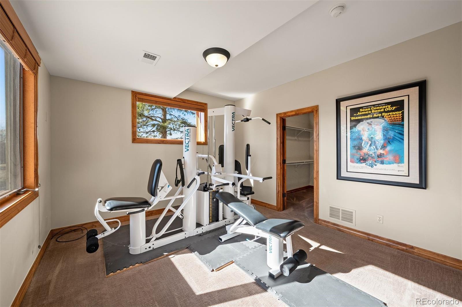 3225 Elk Canyon Circle