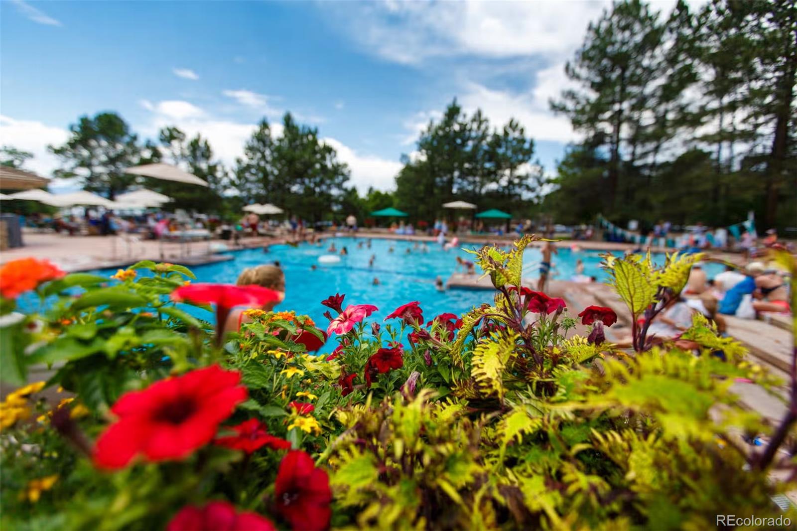 5017 Vermillion Drive