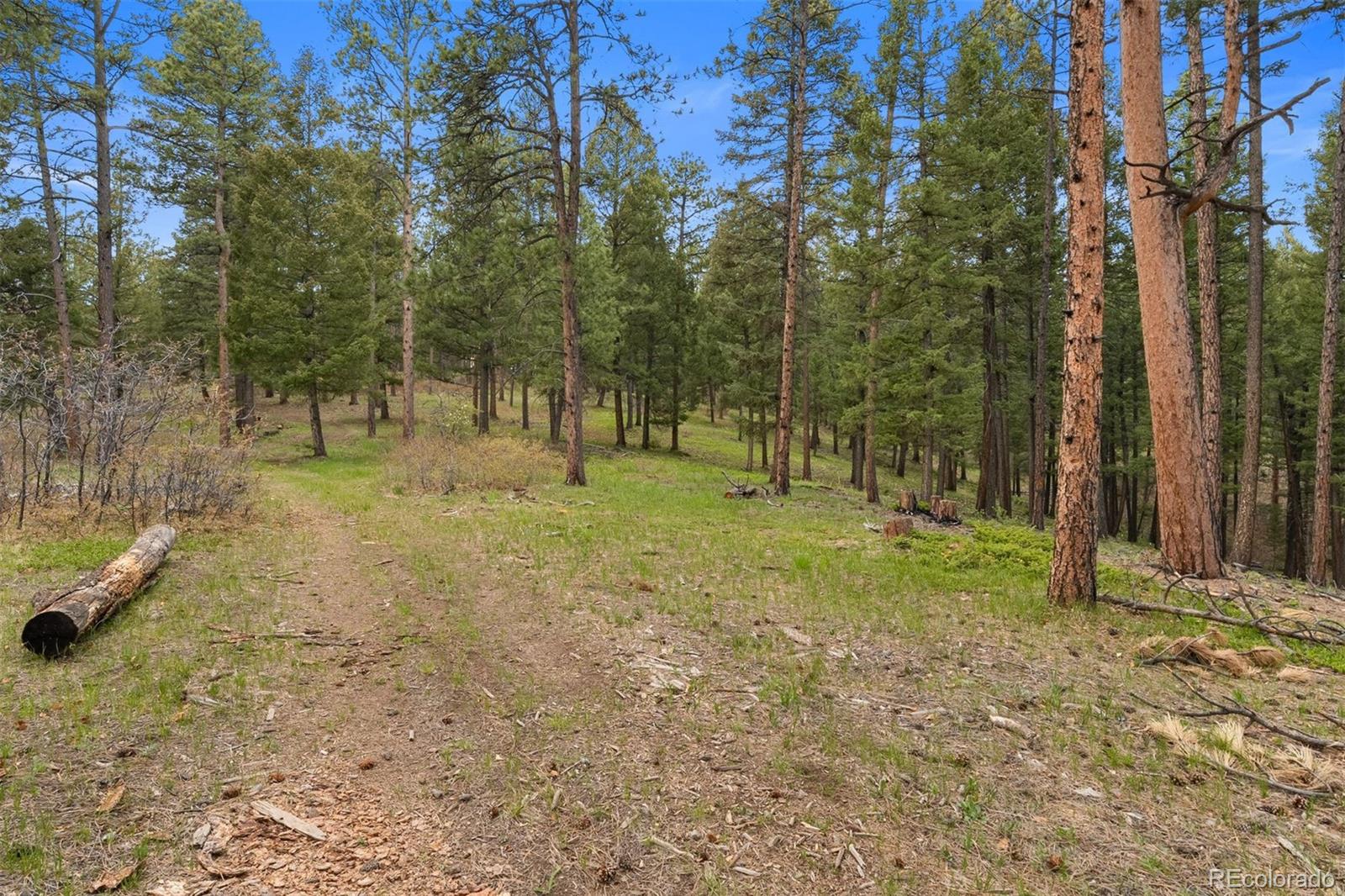 245 N County Highway 67