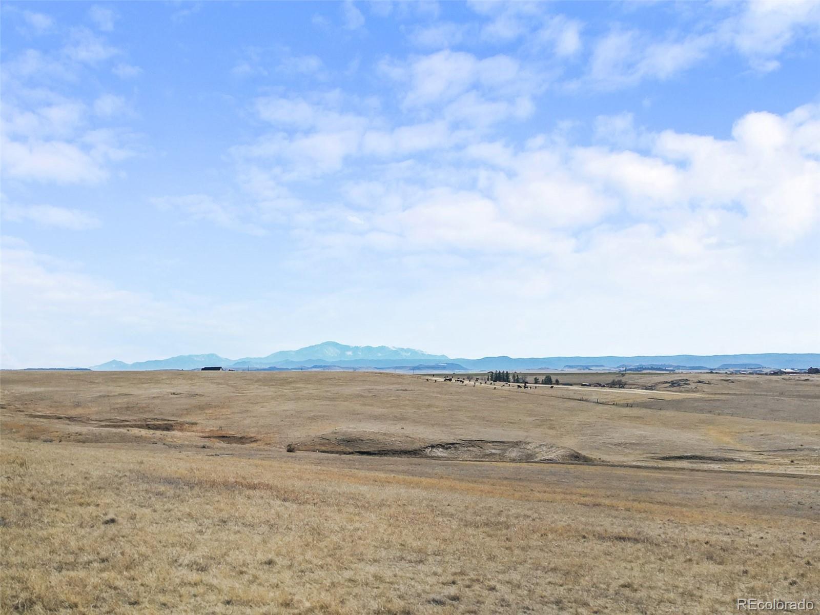 30989 Kootney Street