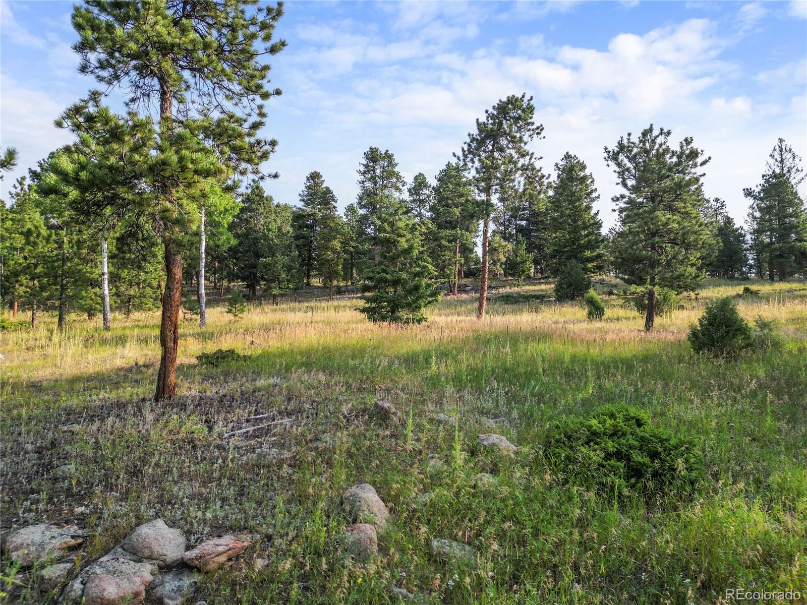 26541 Richmond Hill Road